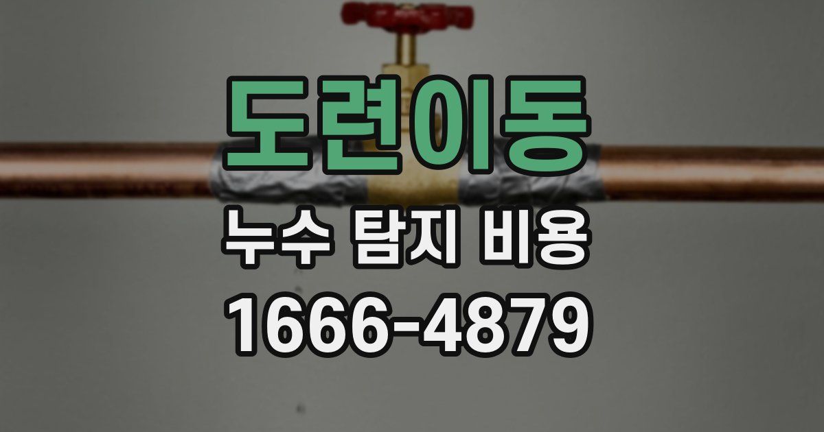 도련이동 누수 탐지 비용