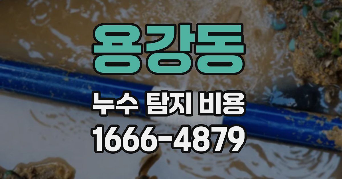용강동 누수 탐지 비용