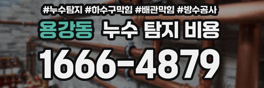 용강동 누수 탐지 비용