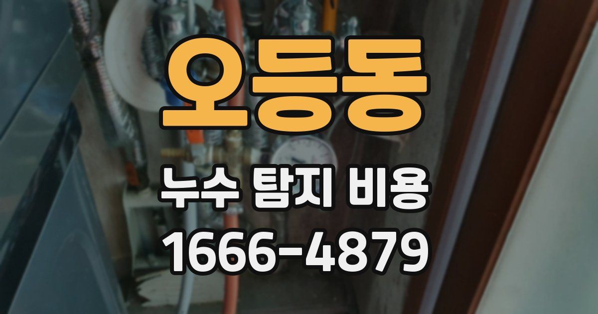 오등동 누수 탐지 비용