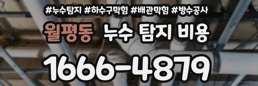 월평동 누수 탐지 비용