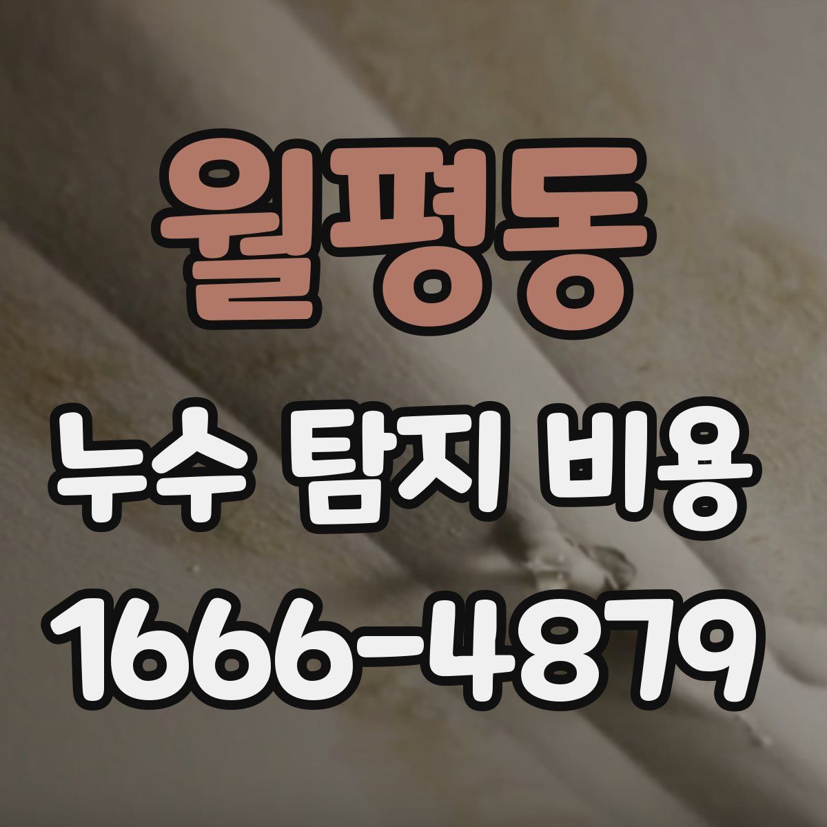 월평동 누수 탐지 비용