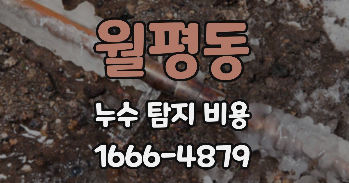 월평동 누수 탐지 비용