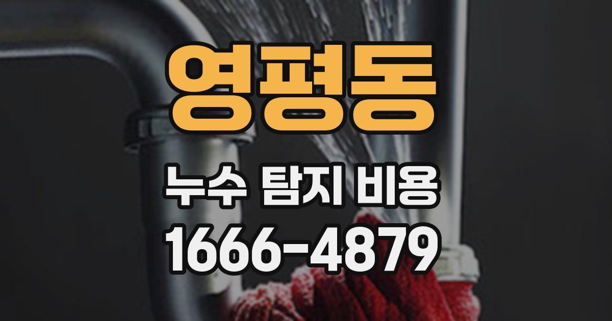 영평동 누수 탐지 비용