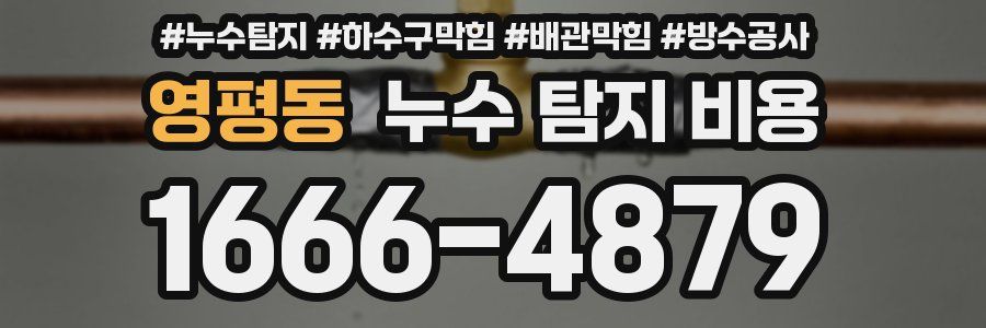 영평동 누수 탐지 비용