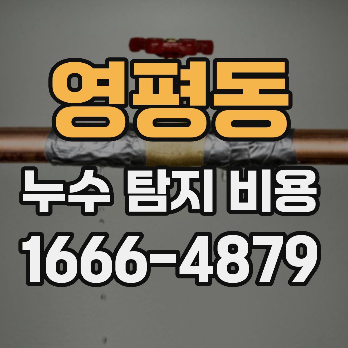 영평동 누수 탐지 비용
