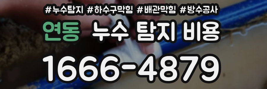 연동 누수 탐지 비용