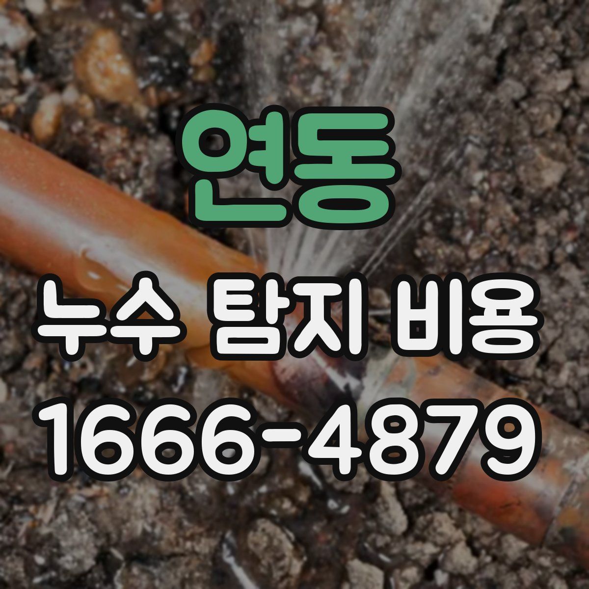 연동 누수 탐지 비용