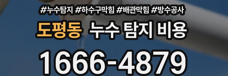 도평동 누수 탐지 비용