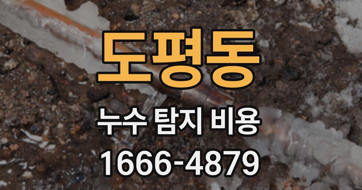 도평동 누수 탐지 비용