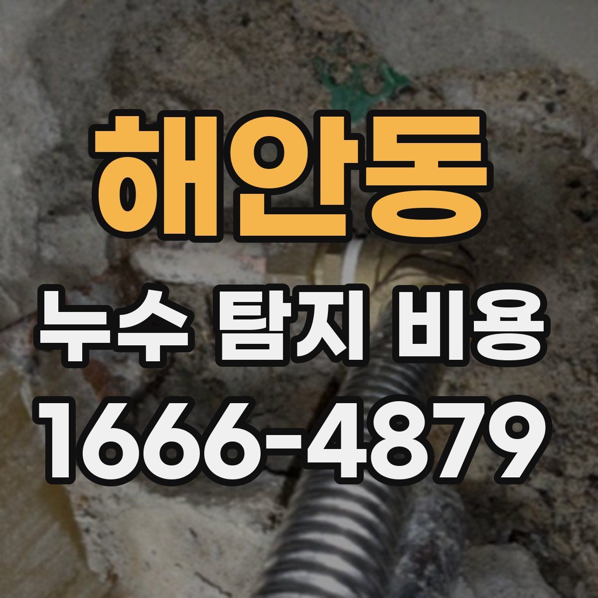 해안동 누수 탐지 비용