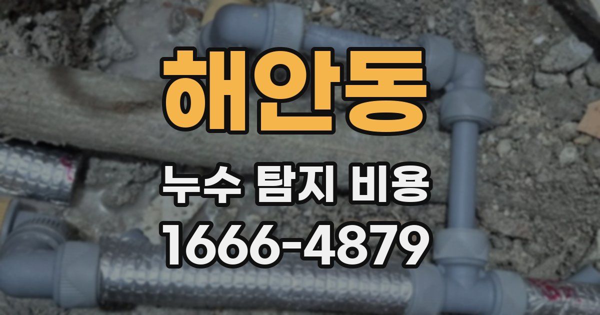 해안동 누수 탐지 비용