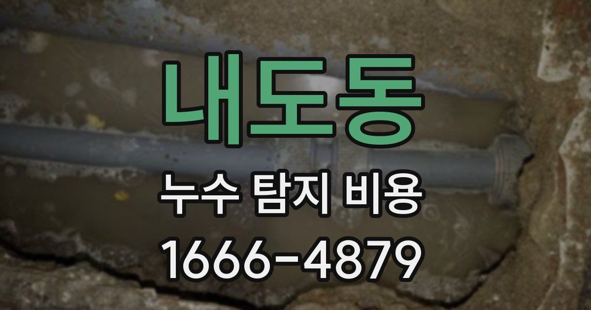 내도동 누수 탐지 비용