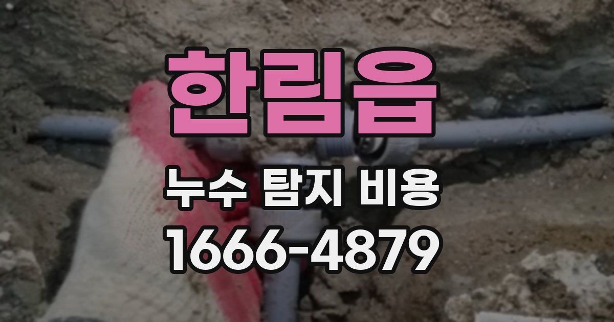한림읍 누수 탐지 비용