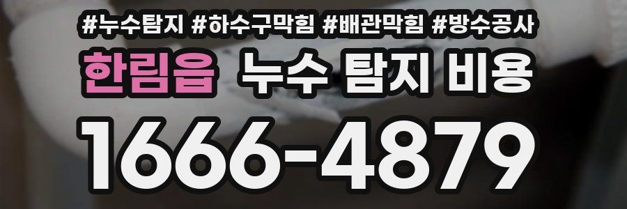 한림읍 누수 탐지 비용