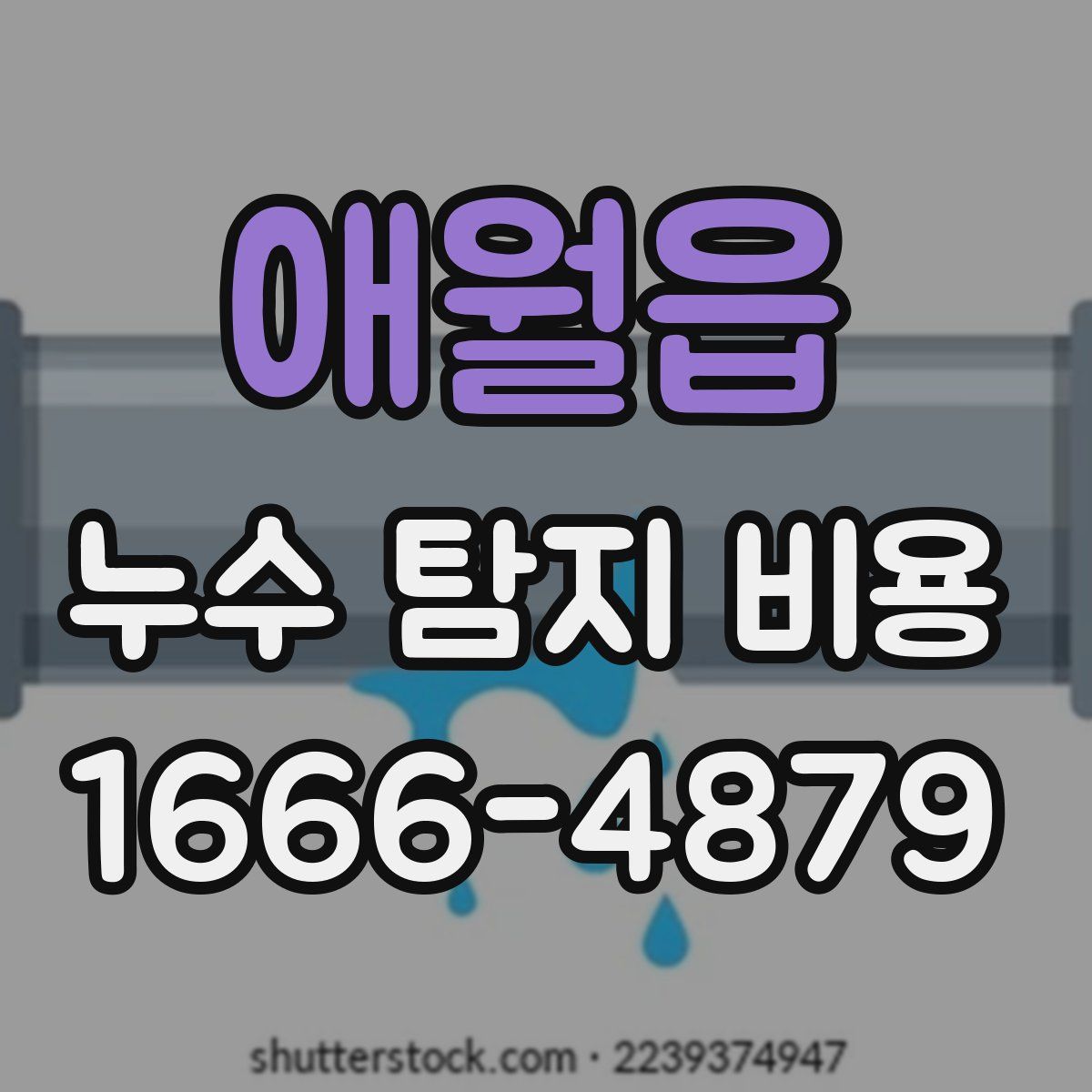 애월읍 누수 탐지 비용