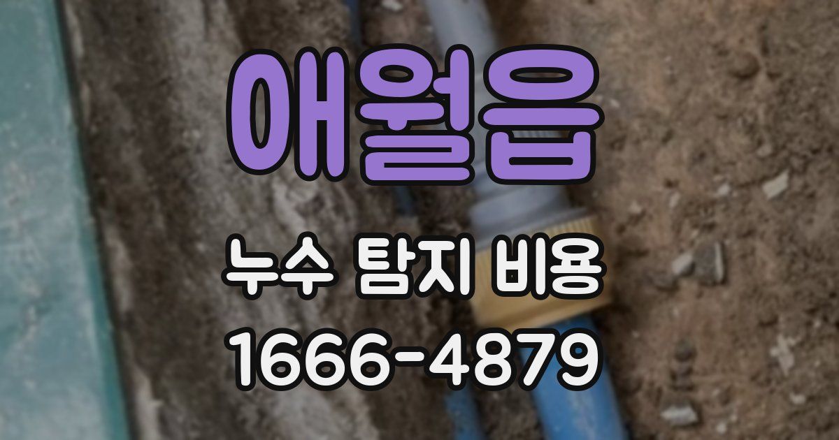 애월읍 누수 탐지 비용