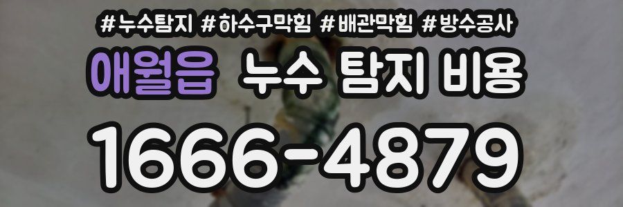 애월읍 누수 탐지 비용