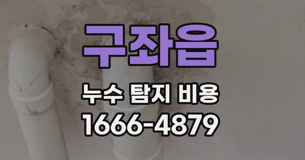 구좌읍 누수 탐지 비용