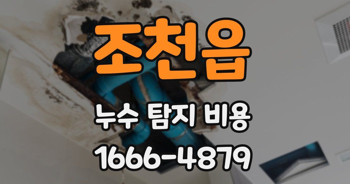 조천읍 누수 탐지 비용