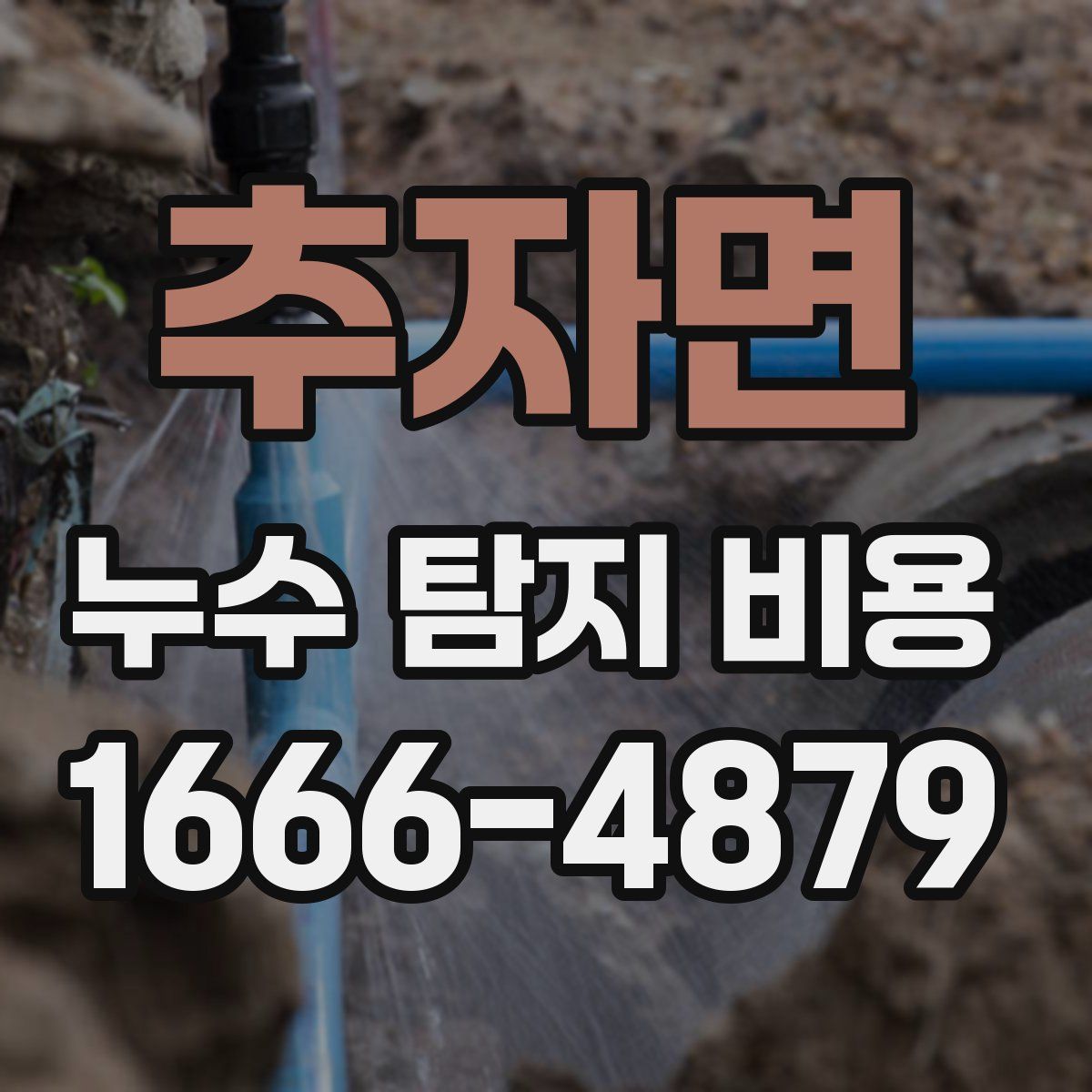 추자면 누수 탐지 비용