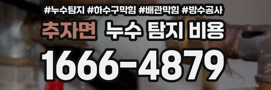 추자면 누수 탐지 비용