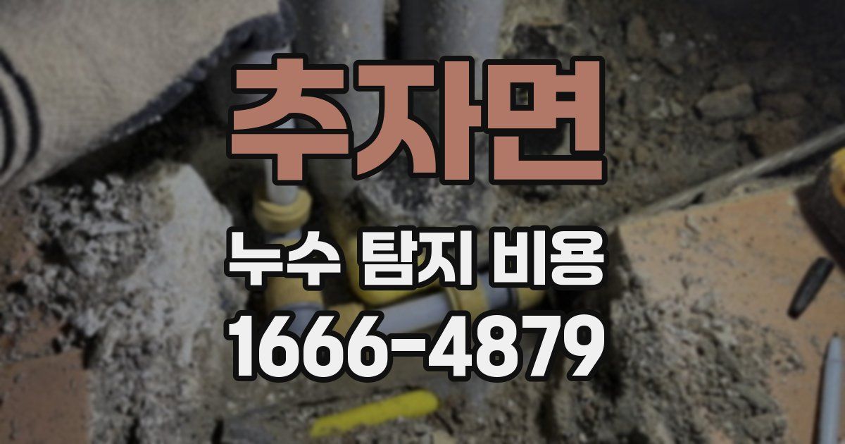 추자면 누수 탐지 비용