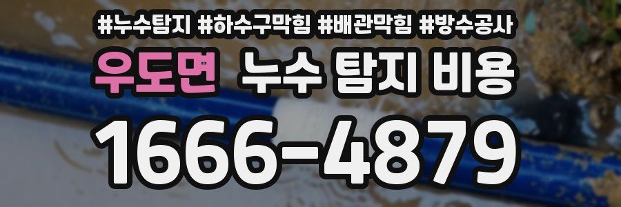 우도면 누수 탐지 비용