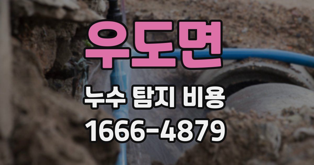 우도면 누수 탐지 비용