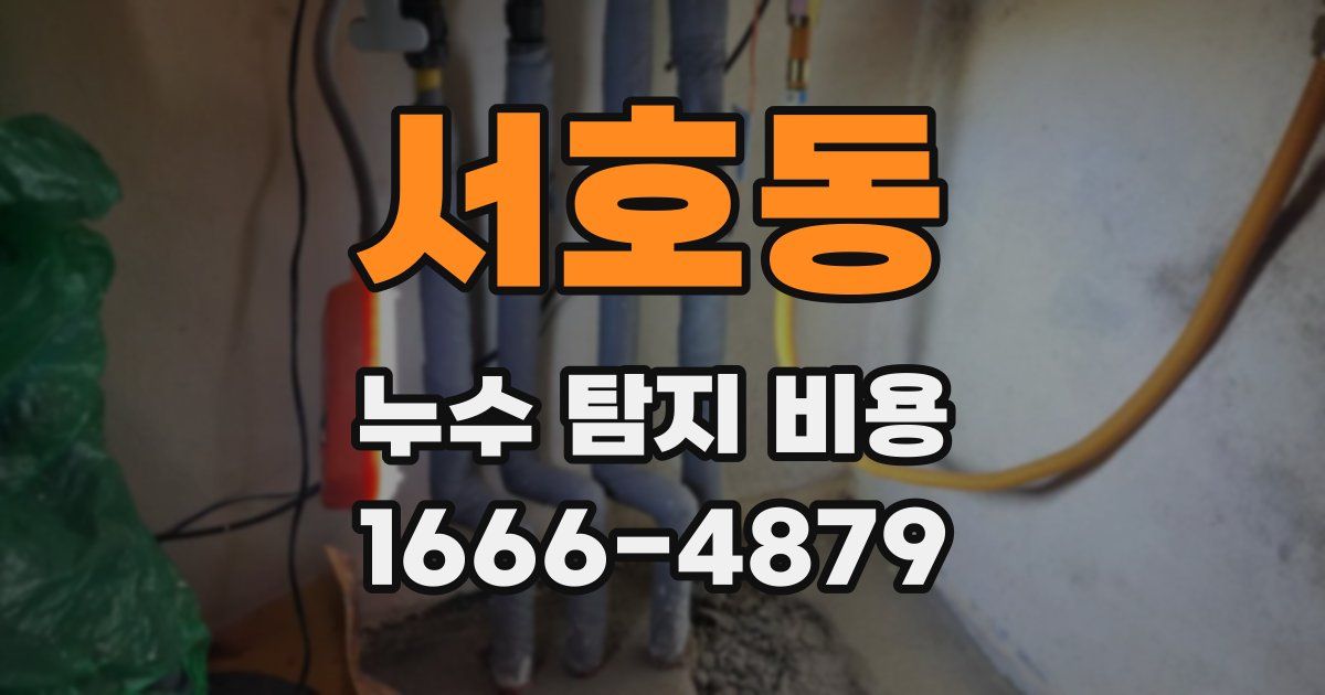 서호동 누수 탐지 비용