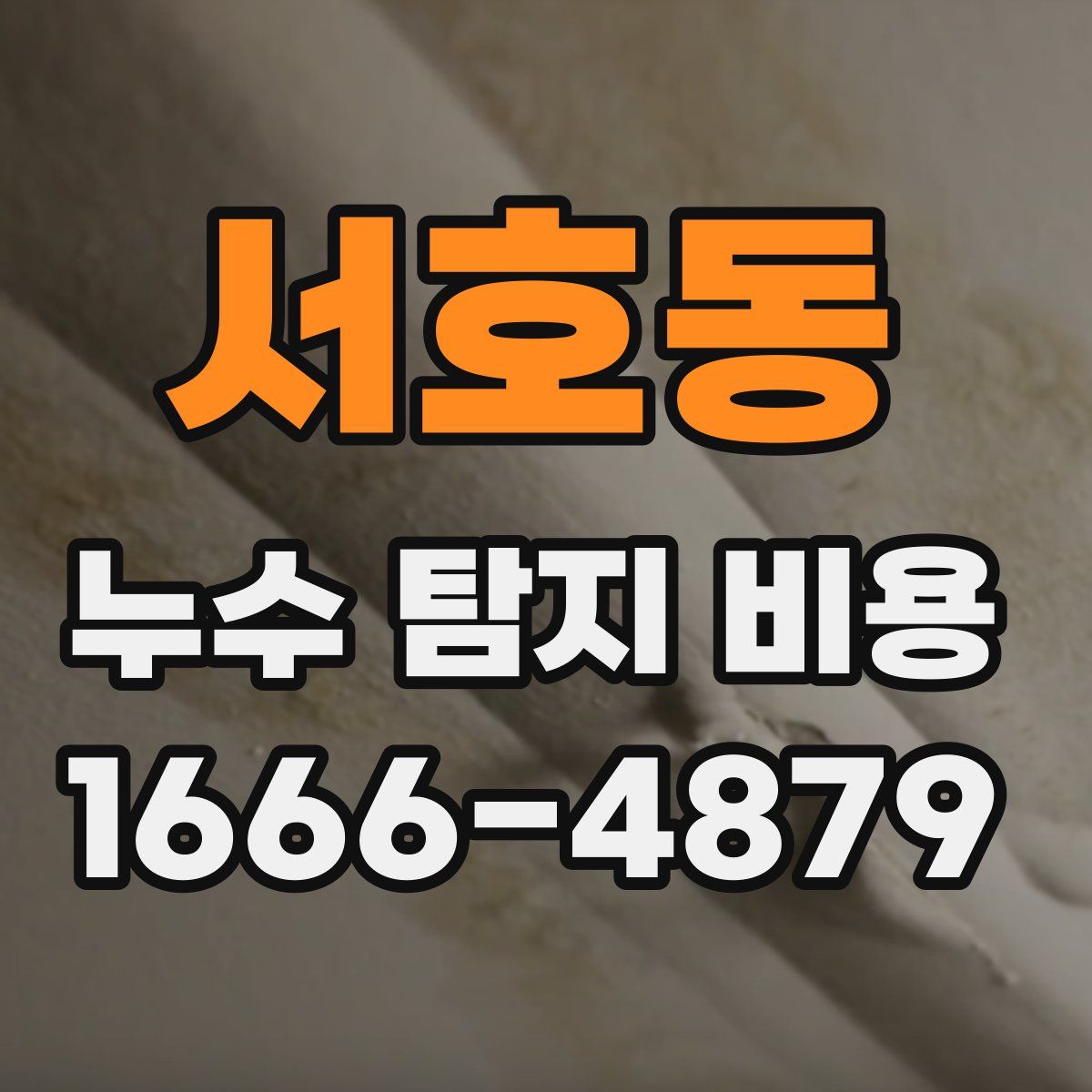 서호동 누수 탐지 비용