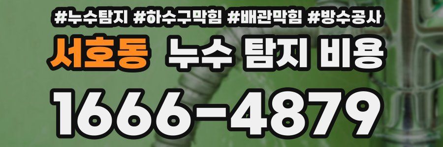 서호동 누수 탐지 비용