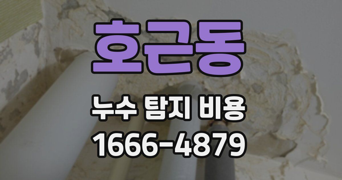 호근동 누수 탐지 비용