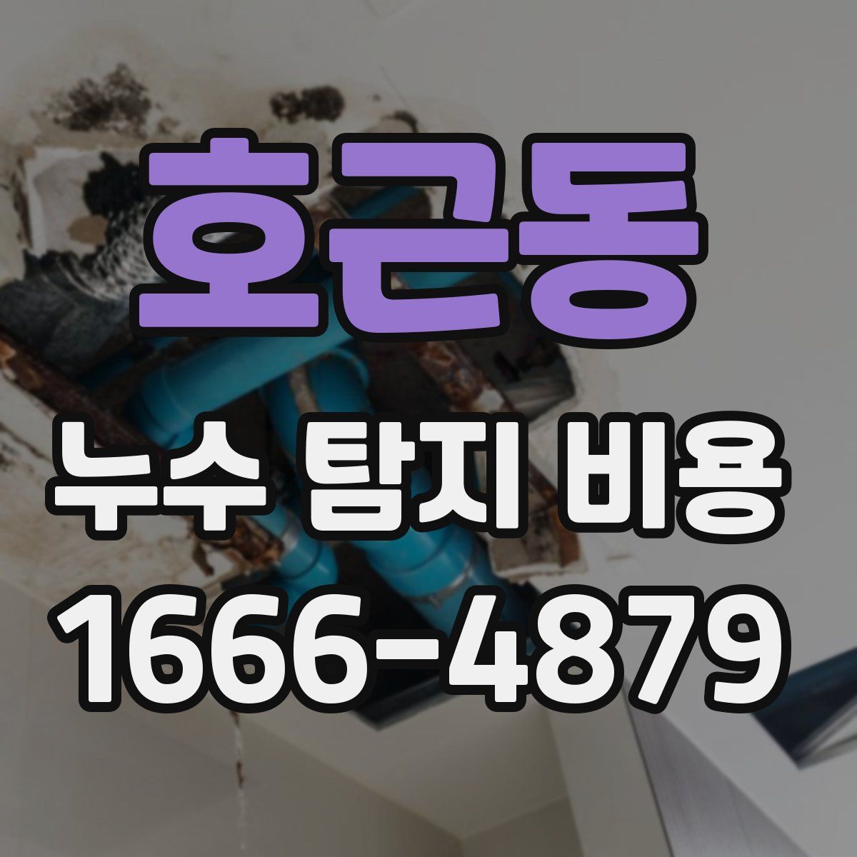 호근동 누수 탐지 비용