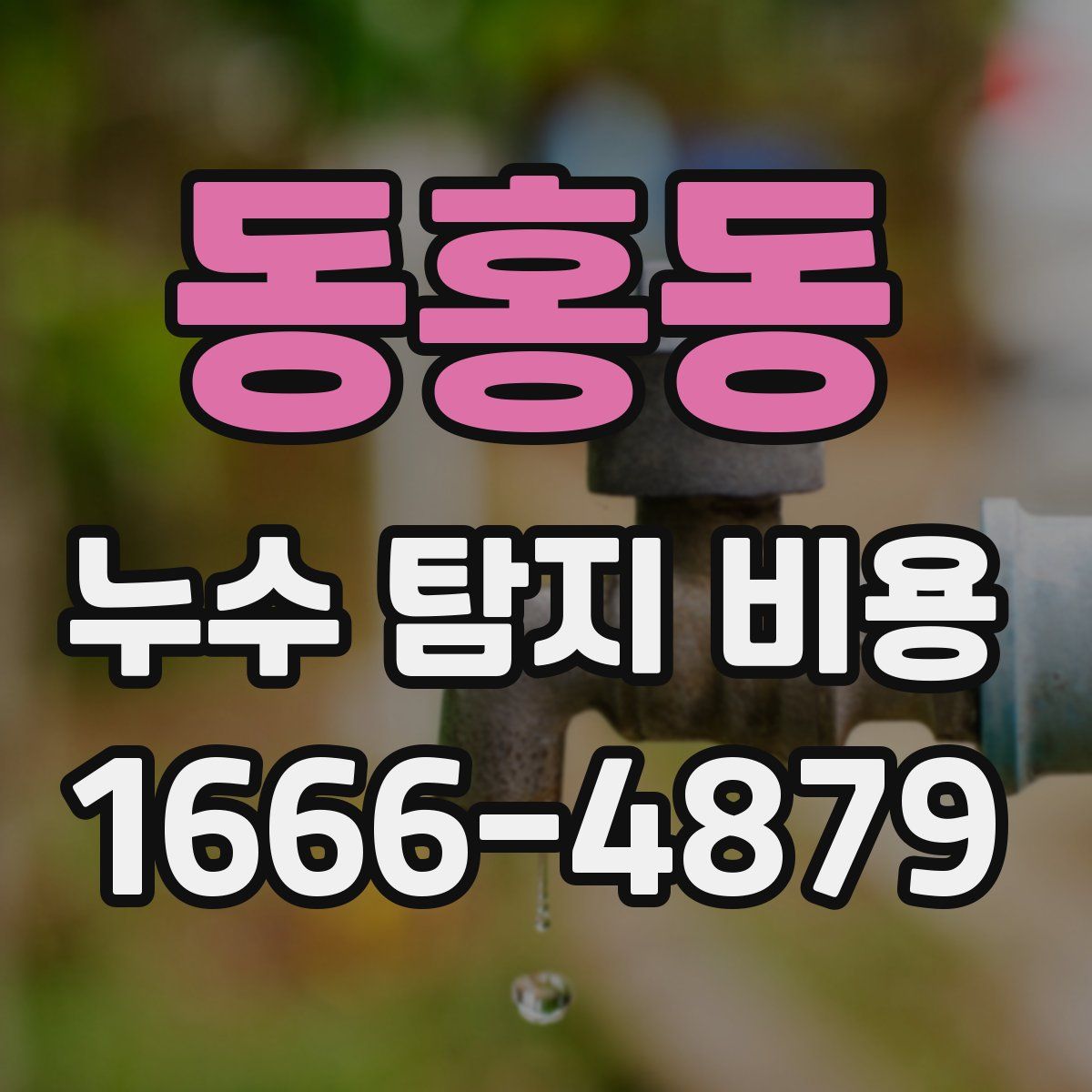 동홍동 누수 탐지 비용