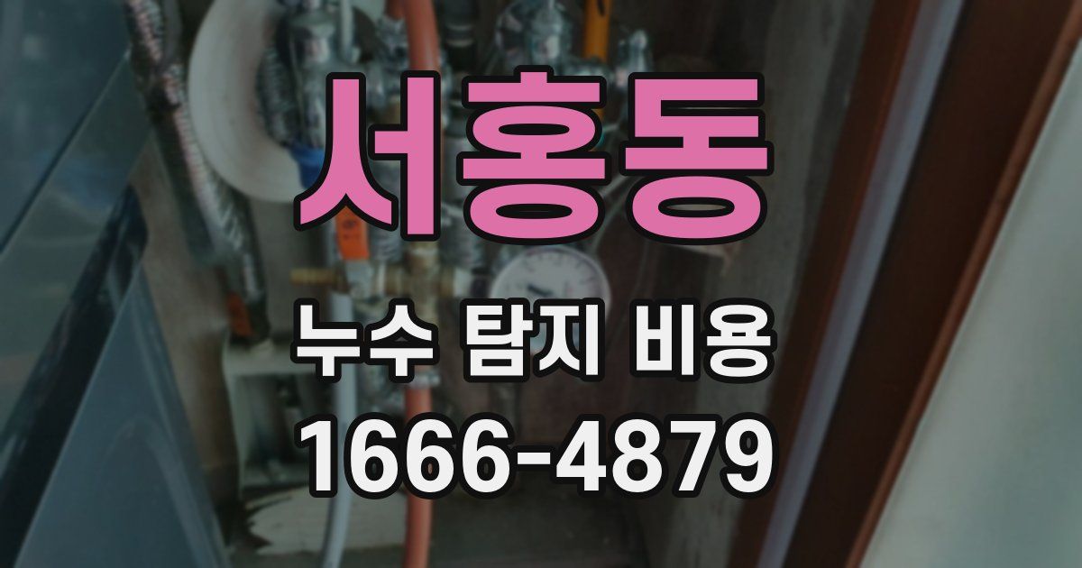 서홍동 누수 탐지 비용