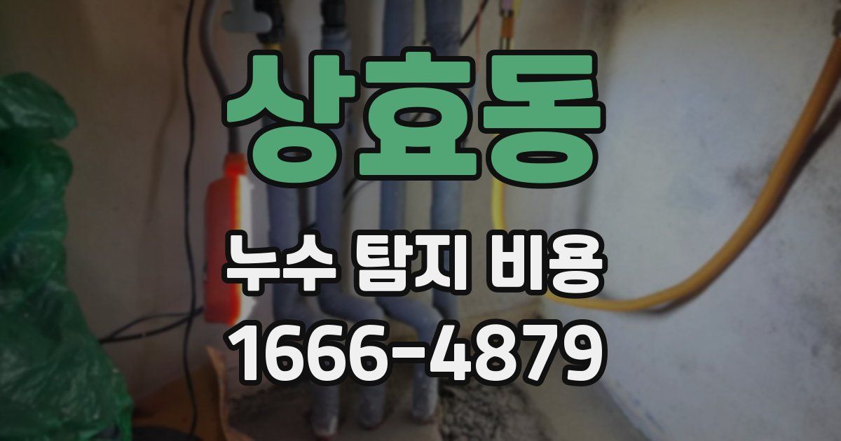 상효동 누수 탐지 비용