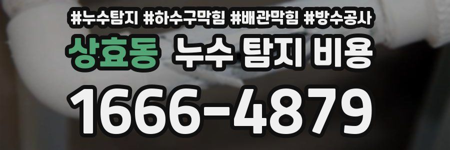 상효동 누수 탐지 비용