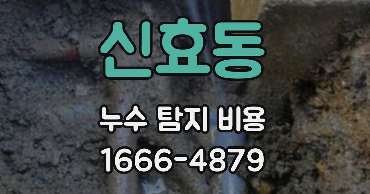 신효동 누수 탐지 비용