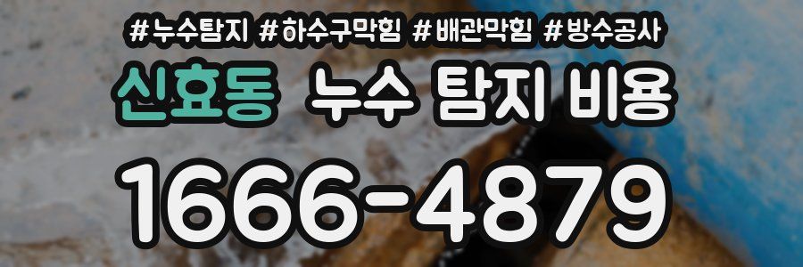 신효동 누수 탐지 비용
