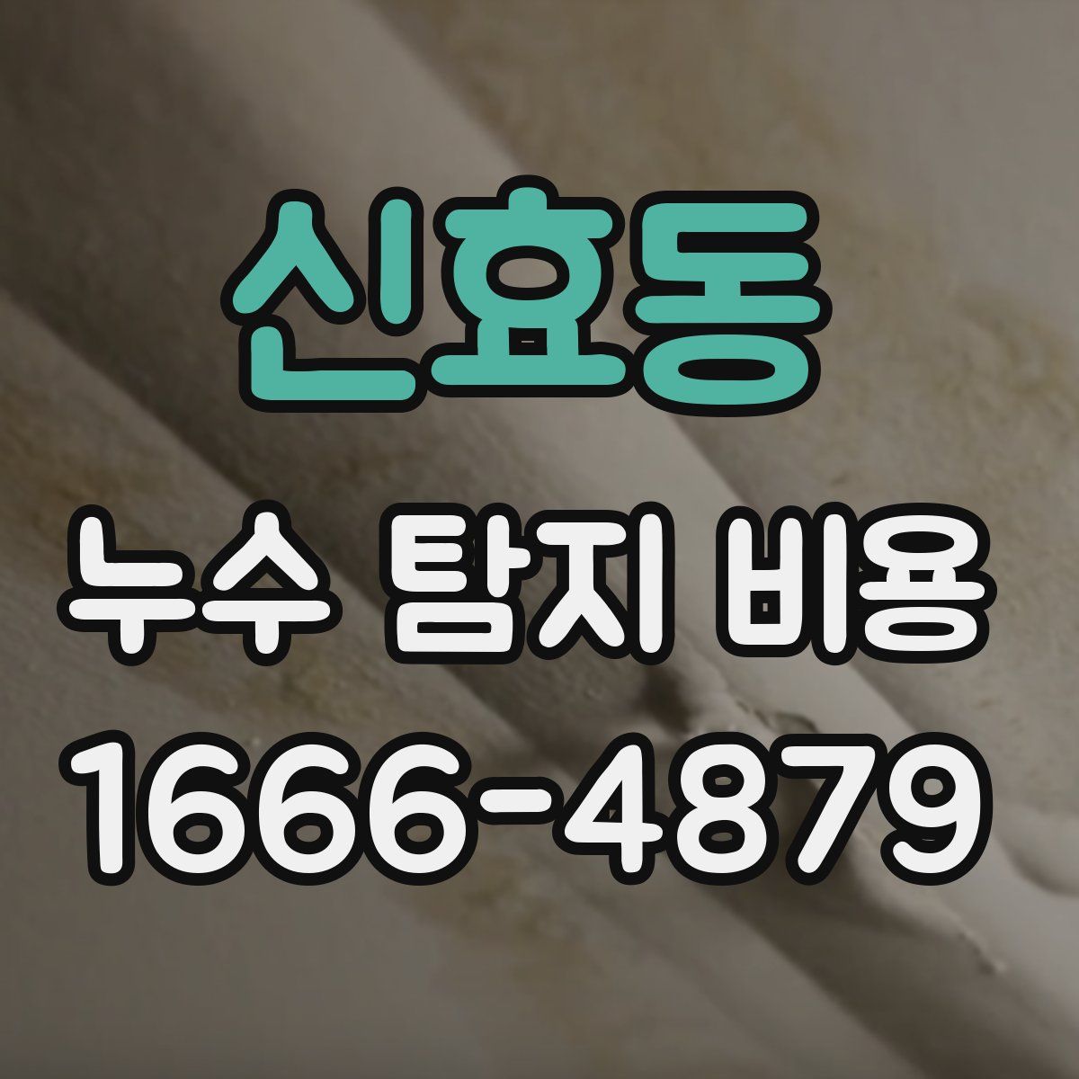 신효동 누수 탐지 비용