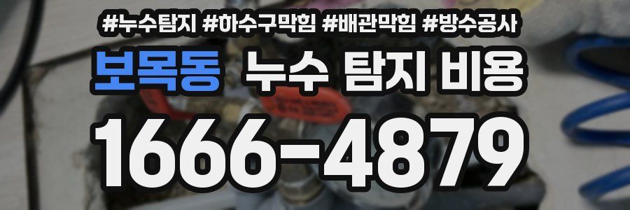 보목동 누수 탐지 비용
