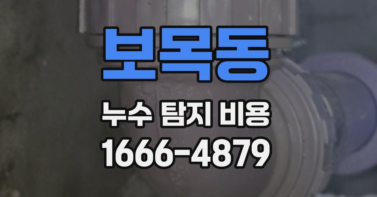 보목동 누수 탐지 비용