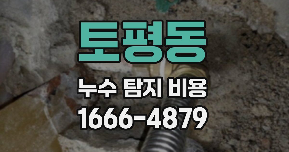 토평동 누수 탐지 비용