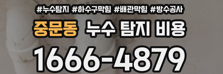 중문동 누수 탐지 비용