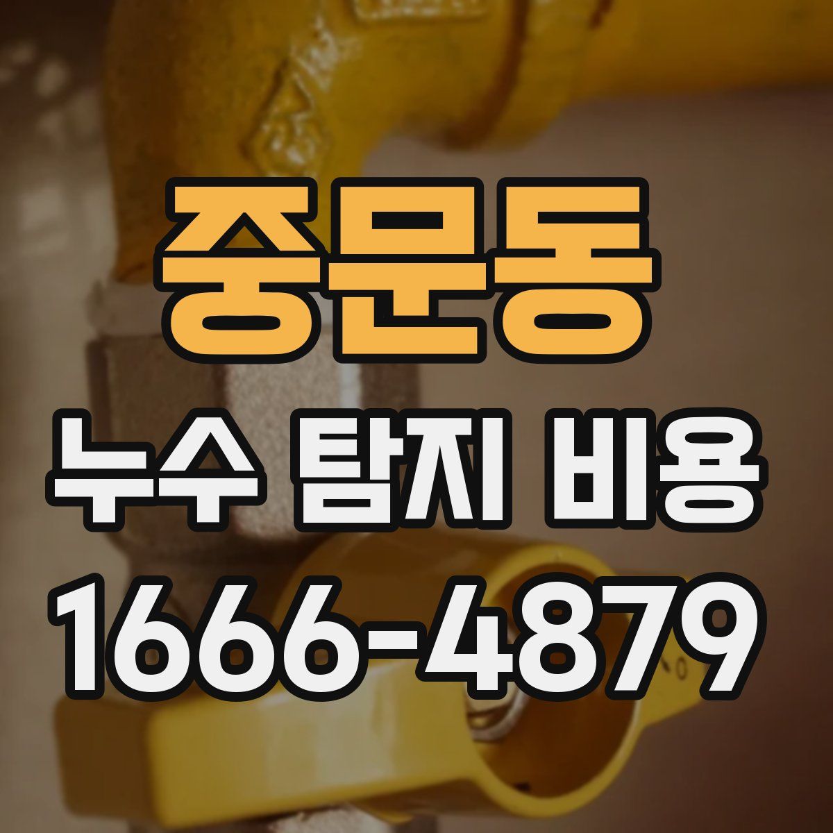 중문동 누수 탐지 비용