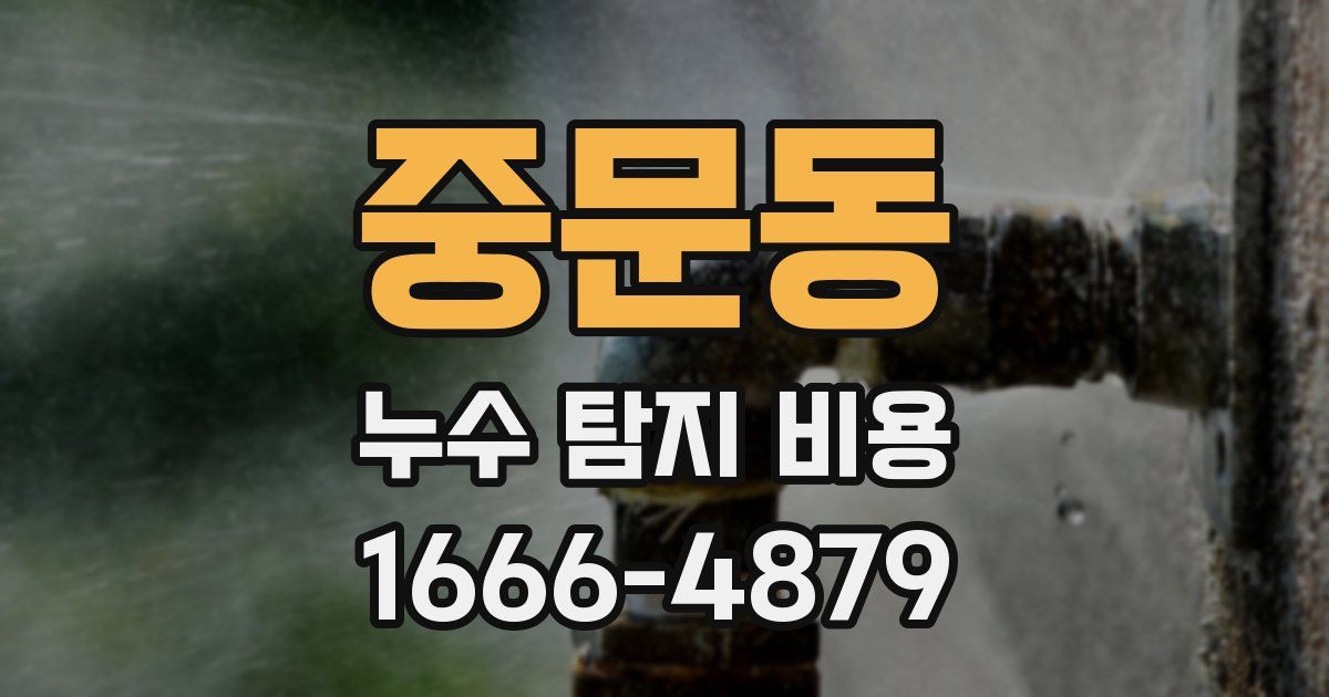 중문동 누수 탐지 비용