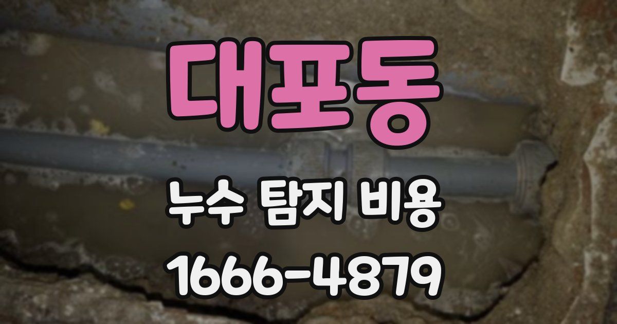 대포동 누수 탐지 비용