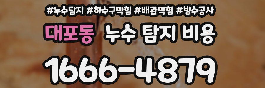 대포동 누수 탐지 비용