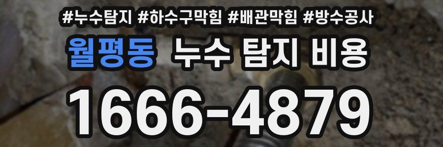 월평동 누수 탐지 비용